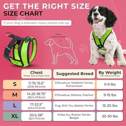 Gooby Comfort X Head-in Dog Harness, Choke-Free - Image 4