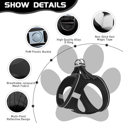 Soft Mesh Dog Harness and Leash Set, No Pull Puppy Harness and Leash Set - Image 2