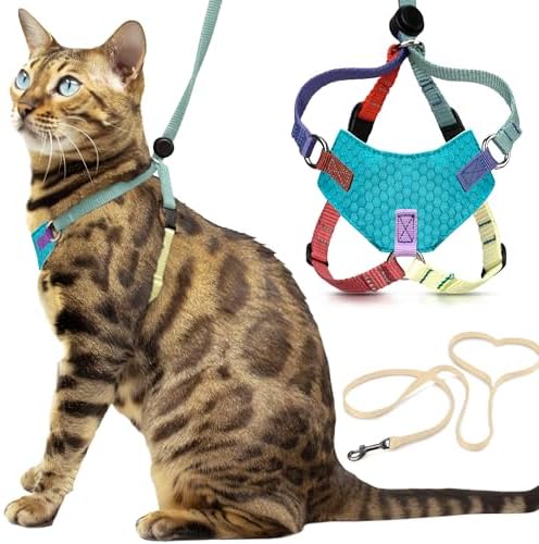 OutdoorBengal Houdini™ Escape Proof Cat Harness and Leash by OutdoorBengal