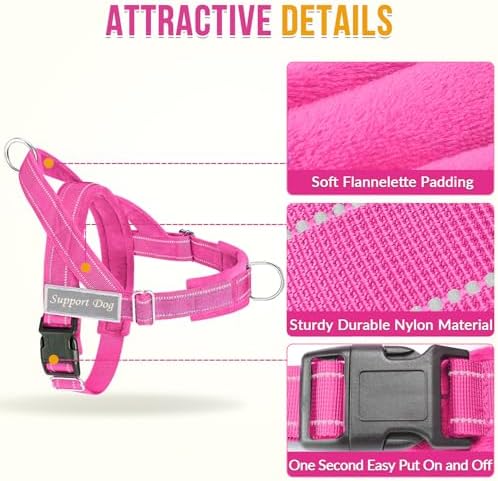 SlowTon No Pull Dog Harness and Leash Set - Image 3
