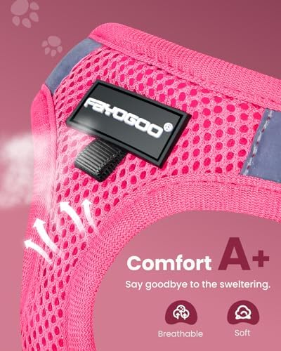 FAYOGOO Cat Harness and Leash Set, Escape-Proof Step-in Vest - Image 2