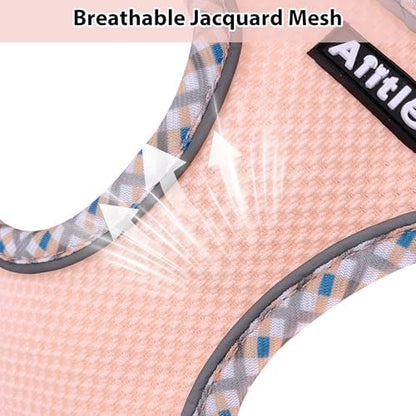 AIITLE Teacup Puppy Harness - Image 3