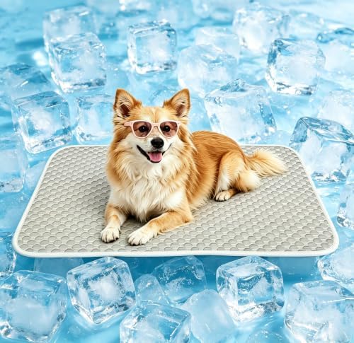 GOLOPET Dog Cooling Mat 20x26in by Afullrangeofservicesforyourpet