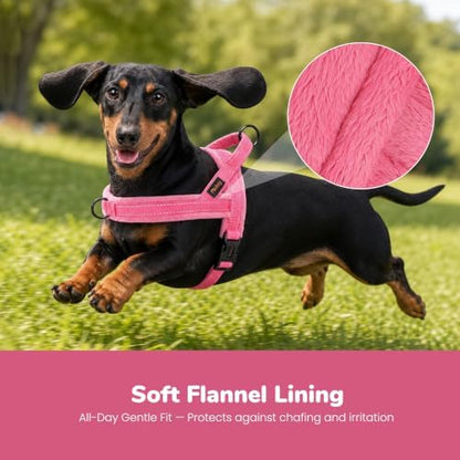 Didog No Pull Dog Harness for Small Dogs, Soft Flannel Padded - Image 2