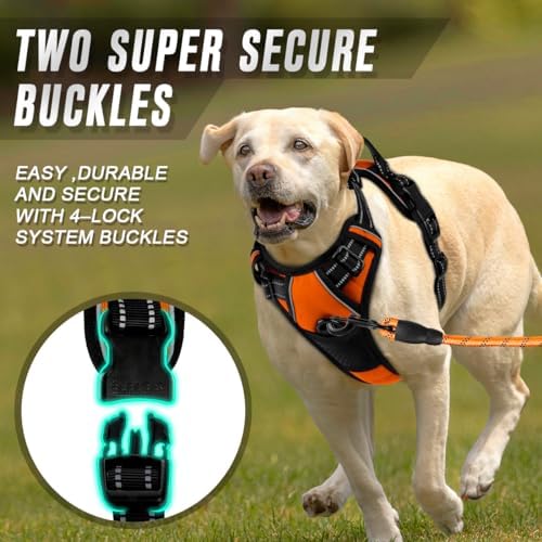 BARKBAY Dog Harness No Pull for Large Dogs Front Back Clips, Dog Vest - Image 4