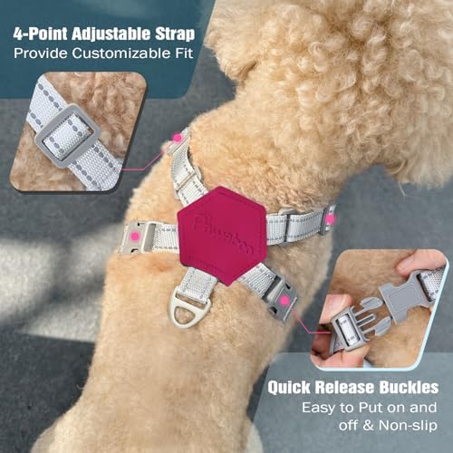 Pawaboo Small Dog Harness and Leash Set, Puppy Harness X-Frame Adjustable - Image 4