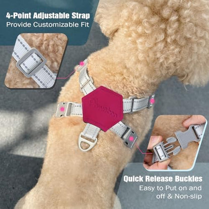Pawaboo Small Dog Harness and Leash Set, Puppy Harness X-Frame Adjustable - Image 4