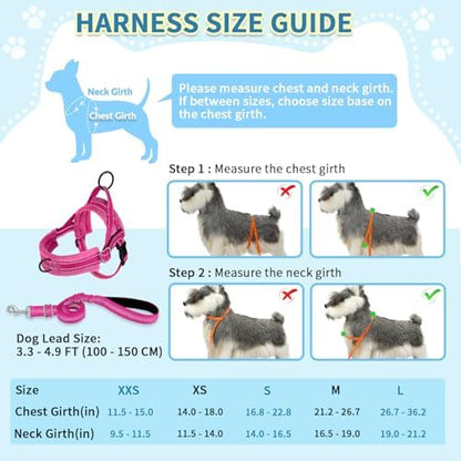 SlowTon No Pull Small Dog Harness and Leash Set - Image 5