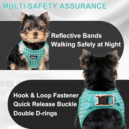 AIITLE Step in Medium Dog Harness and Leash Set, Pet Vest, Turquoise L - Image 4