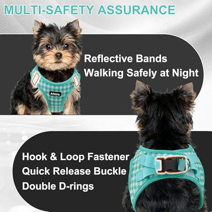 AIITLE Step in Medium Dog Harness and Leash Set, Pet Vest, Turquoise L - Image 4