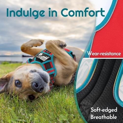 Eagloo Dog Harness No Pull for Small Dogs, Easy On & Off - Image 6