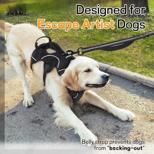 rabbitgoo Escape Proof Dog Harness - Image 2