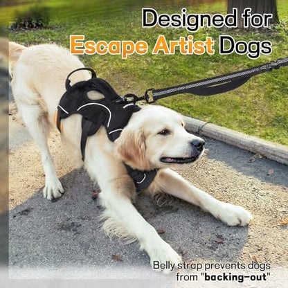 rabbitgoo Escape Proof Dog Harness - Image 2