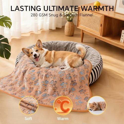 1 Pack 6 Blankets Dog Cat Soft Fluffy Fleece Pet Blanket Warm Cute Print Design - Image 6