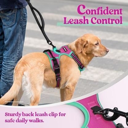 rabbitgoo Dog Harness, No Pull Medium Sized - Image 6