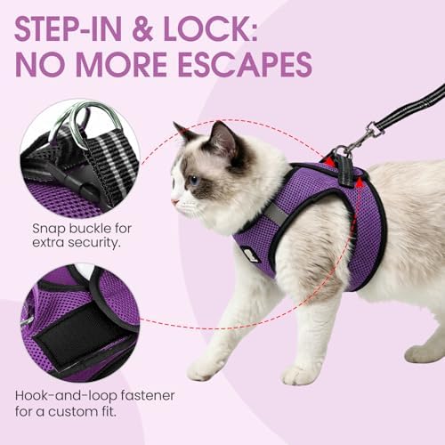 Heywean Cat Harness and Leash Escape Proof, Soft Breathable Mesh Kitty Walking - Image 2