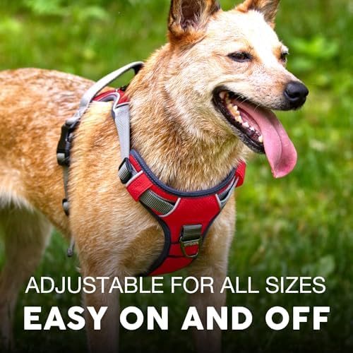 Embark No Pull Dog Harness, Reflective Adjustable Training Vest, No Choke - Image 4