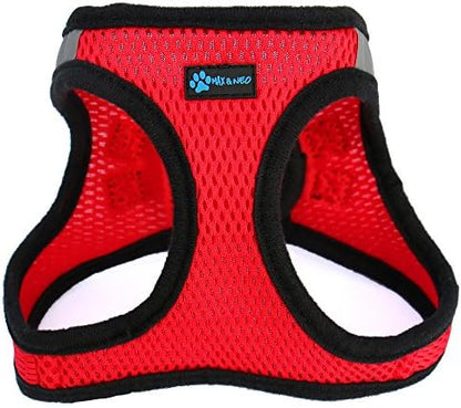 Max and Neo Nanu Small Dog Reflective Dog Harness by MaxandNeo