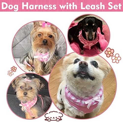 EXPAWLORER Step-in Dog Harness Small Sized and Leash Set - Image 6
