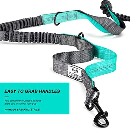 SHINE HAI Retractable Hands Free Dog Leash - Image 5