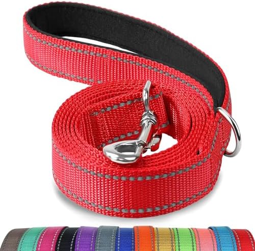 Joytale Reflective Dog Leash for Medium & Large Dogs, 4 FT x 1" by Joytale