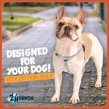 2 Hounds Design - Image 7