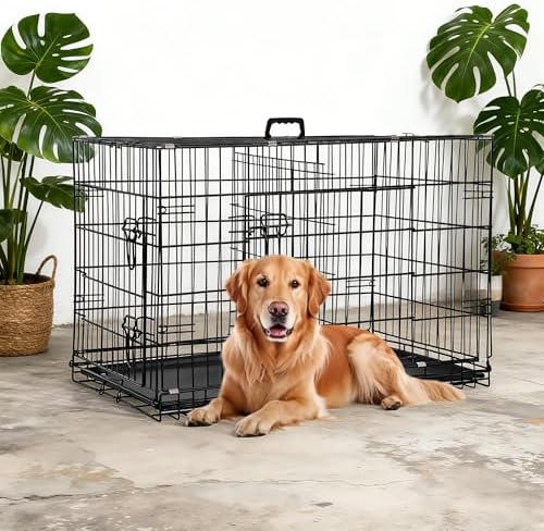 FDW | 36" Foldable Metal Dog Crate | Dark Black | Cage - Image 2