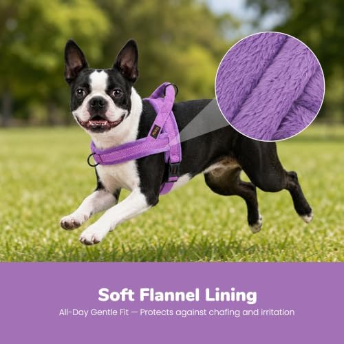 Didog No Pull Dog Harness for Small Dogs, Soft Flannel Padded - Image 2