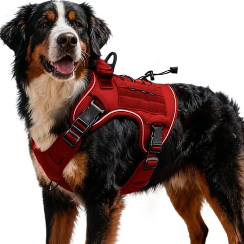 Heavy-Duty Tactical Dog Harness by Bruvoalon