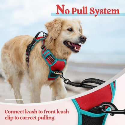 rabbitgoo Dog Harness, No Pull Medium Sized - Image 5
