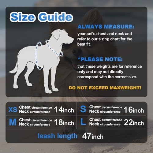 Dog Harness Medium Sized Dogs, Puppy Harness and Leash Set - Image 6