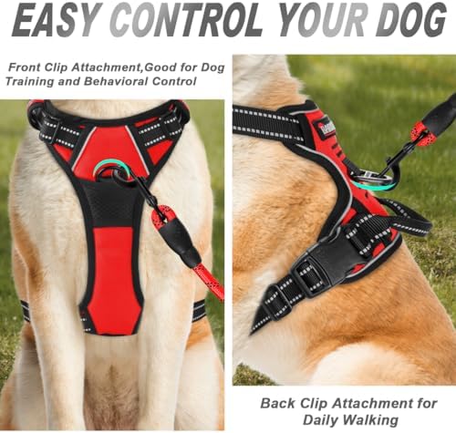 BARKBAY Dog Harness No Pull for Large Dogs Front Back Clips, Dog Vest - Image 2