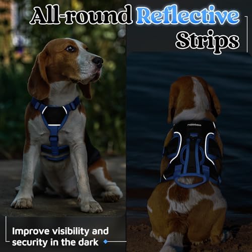 rabbitgoo Escape Proof Dog Harness - Image 7