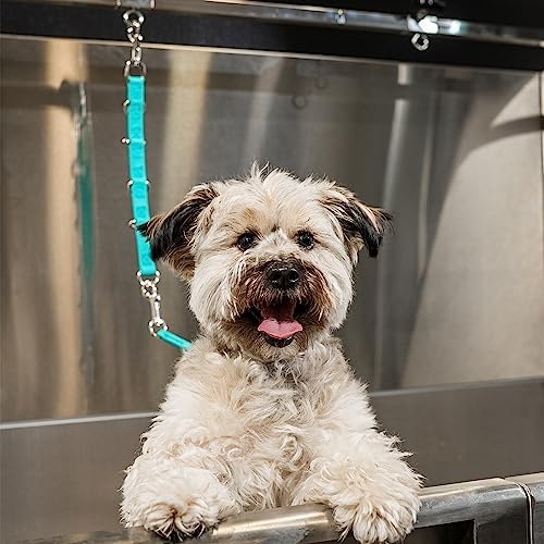 Jelly Pet Dog Grooming Loop Extender Strap - Image 4
