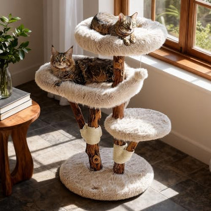 Sopapets Maine Coon Cat Tree for Large Cats, Solid Wood Cat Tower by Sopapets