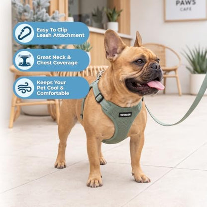 Best Pet Supplies Voyager Adjustable Step-in Flex Breathable Mesh Dog Harness - Image 2