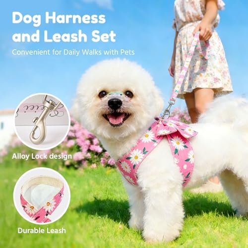 BAEJMJK Dog Harness and Leash Set - Image 5