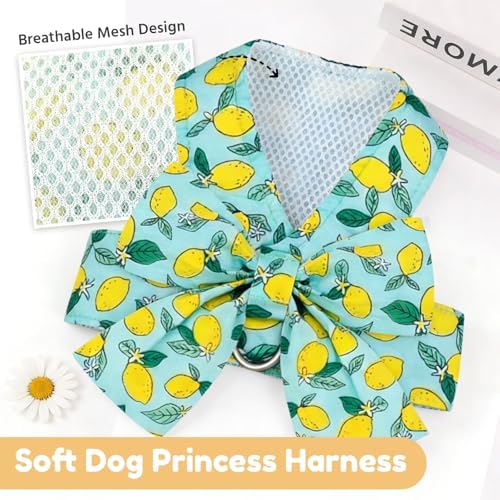 BAEJMJK Dog Harness and Leash Set - Image 5