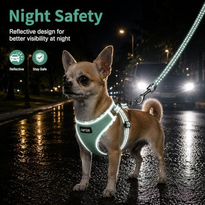 AMTOR Small Dog Harness with Leash Set, No Escape Easy Walk Puppy Harnesses - Image 4