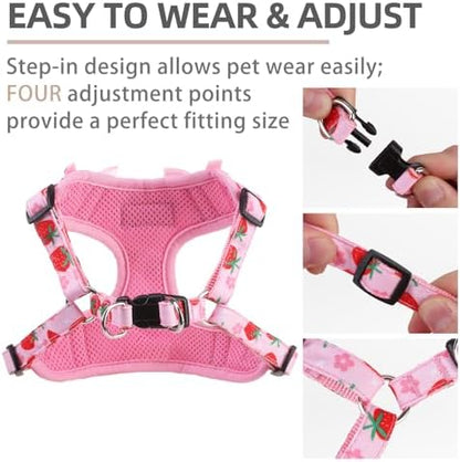 PUPTECK Dog Harness and Leash Set Small Sized, Step in No Pull Adjustable Puppy - Image 3