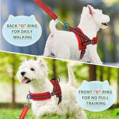 SlowTon No Pull Small Dog Harness and Leash Set - Image 4