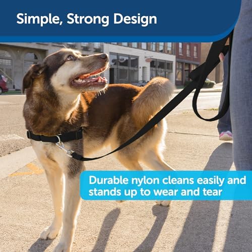 PetSafe Nylon Dog Leash - Image 4