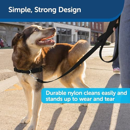 PetSafe Nylon Dog Leash - Image 4