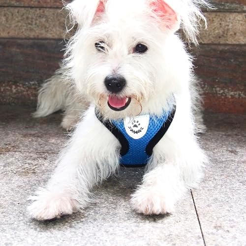 Hypeety Dog Vest Harness No-Pull Reflective Step-in Air Mesh Vest - Image 5