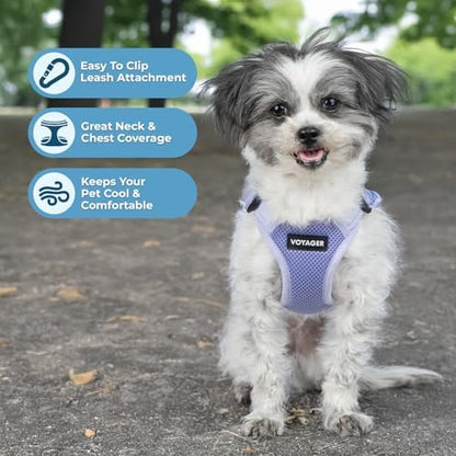 Voyager Step-in Flex Adjustable Dog Harness - Image 2