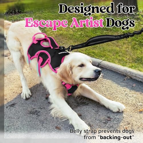 rabbitgoo Escape Proof Dog Harness - Image 3