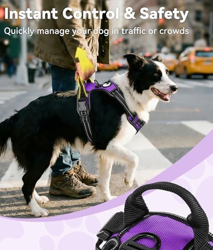 Joytale No Pull Dog Harness Medium Sized Dog, Front Clip - Image 3