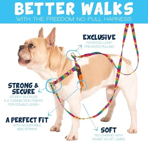 2 Hounds Design Freedom No Pull Dog Harness and Leash - Image 2