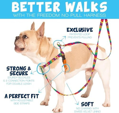 2 Hounds Design Freedom No Pull Dog Harness and Leash - Image 2