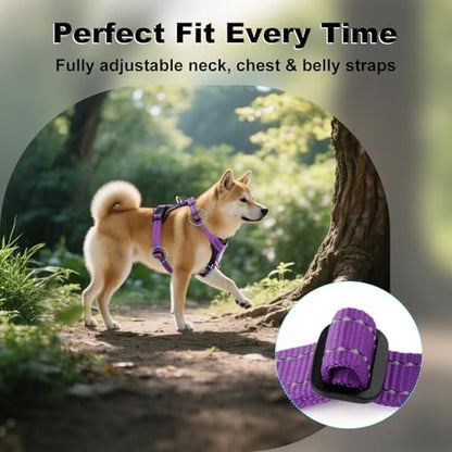 Plutus Pet No Pull Dog Harness - Image 5